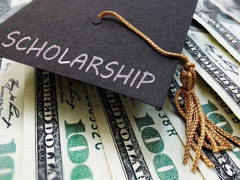 Scholarship for Undergraduate Students